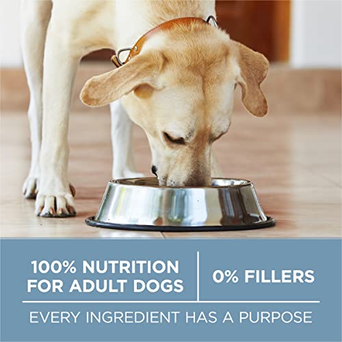 Purina ONE Plus Joint Health Dry Dog Food, Chicken, 16.5 lb Bag - image 9