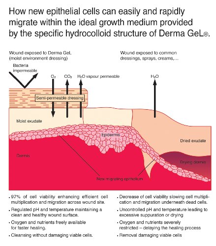 Veterinus Derma Gel® - Natural Spray 50Ml - 1.7 Fl.oz. (Twin-Pack Of 2 X 50Ml) - Cat Safe Non Toxic Contains: Freeze Dried Lavender Extr. (No Essential Oil) #TOP4