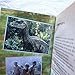 Jurassic Park III (Junior Novelization)