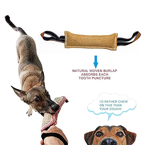 Attrezzatura da addestramento cani Toy del morso