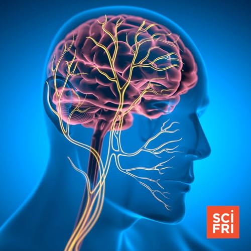 Is There Science Behind The &lsquo;Nervous System Reset&rsquo;?