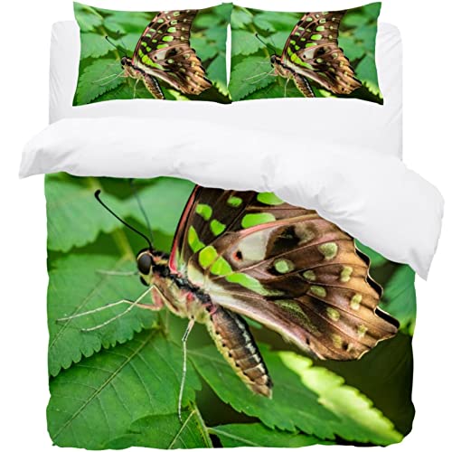 Parure de couette papillon lit simple pour une chambre nature et cocooning - 2