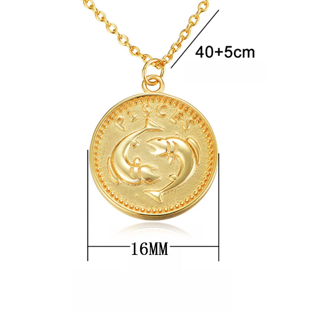 Sternzeichen Kette,S925 Silber Sternzeichen Halskette Für Frauen Exquisite Münze Halskette Gold Halskette Horoskop Anhänger Halskette Freundschaft Schmuck Geschenk Für Mädchen Männer,Steinbock