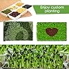 6Pack Microgreens Growing Trays with 12Pcs Plant Hemp Fiber Grow Mat, 15 x 11 x 2.5 Inch Garden Seed Starter Trays Kit, Microgreens Growing Kit for Seedlings, Growing Microgreens, Indoor Gardening #2