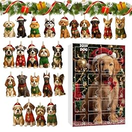 Countdown Calendar –...