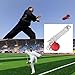Rope Meteor Hammer Exercise Ball Rubber Meteor Hammer Chinese Kungfu Traditional Martial Arts Soft Equipment,Rubber Weight Throw Exercise Ball with Rope Soft Martial Arts myofascial release ball