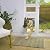 Power Pet Automatic ROLL UP Door by High Tech Pet Brand - Motorized Panel Rolls Up - Pet Operated - Remote App Control - 24/7 Exit & Entry Timers (X-Large, Patio Tall - 92½-96)