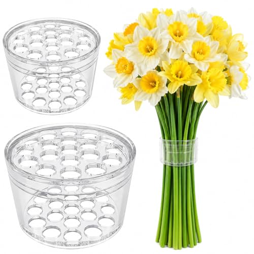 Heqxwl 2 Pack Flower Arrangement Holder for Vase Spiral Blossom Grid Flower Frog Stem Support Ikebana Bouquet Tool (Clear)