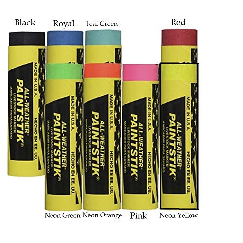 All Weather Lot of Four NEON Pink Horse Livestock Paintstik Chalk Non Toxic