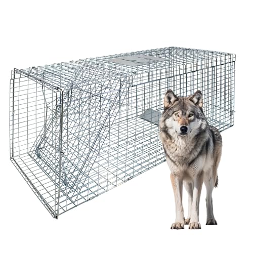 51.1x17.4x18.9 Large Foldable Humane Live Animal Trap Cage Powder-Coated Alloy Steel Live Trap-Coyote Cage for Raccoon/Capybara/Bobcat/Fox/Dog/Armadillo/Opossum/Stray Cat/Rabbit-Zip Ties