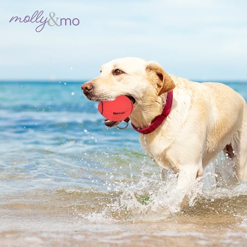 Molly & Mo Juguete Mordible para Perro - Set de 3 miniatura 2
