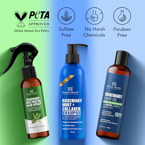 Image of Botanic Hearth Hair Care Trio |Rosemary oil for hair, Mint Shampoo & Rice Water hair Spray | Hair Growth, Hair Fall Control, Dandruff Care, Scalp Nourishment & Strengthening | Sulfate & Paraben-Free