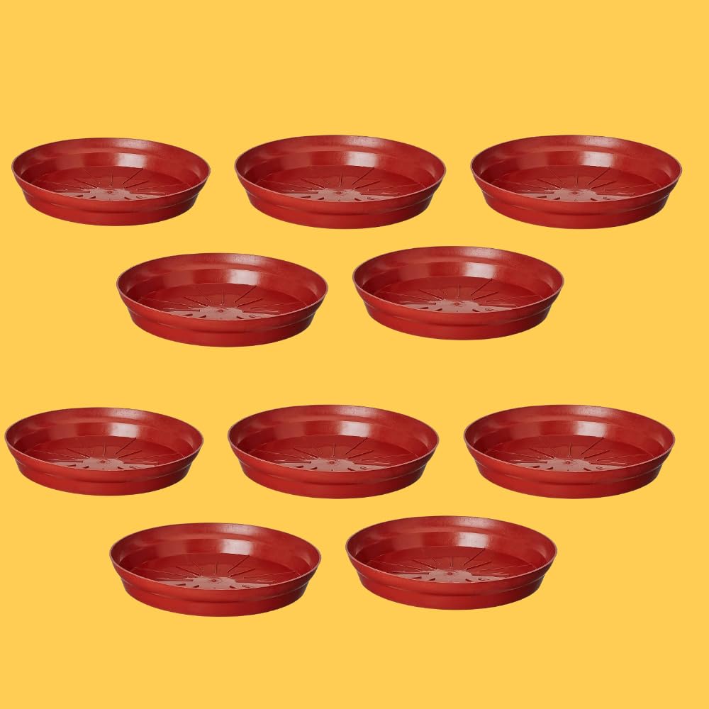Bhajanlal Greenery Bottom Tray for Plant Pots | Planter Bottom Plate | Size- 8 inches, Color : Brown, Pack of 10 | Saucer/Plate Competible for 8,10,12 Inches,Ceremic Pot, All Round Pot (B0BDBTB24W) Amazon Price History, Amazon Price Tracker