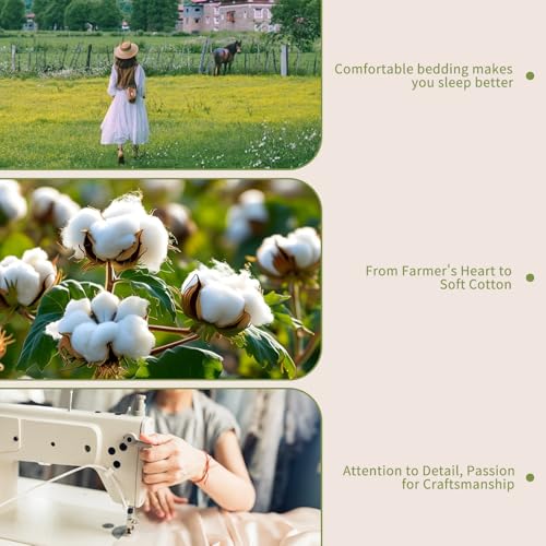 Bedlifes 1000 Thread Count 100% Egyptian Cotton King Size Sheets Set - Sateen Soft Silky Breathable Luxury Cooling 4 Pieces (Olive Green)