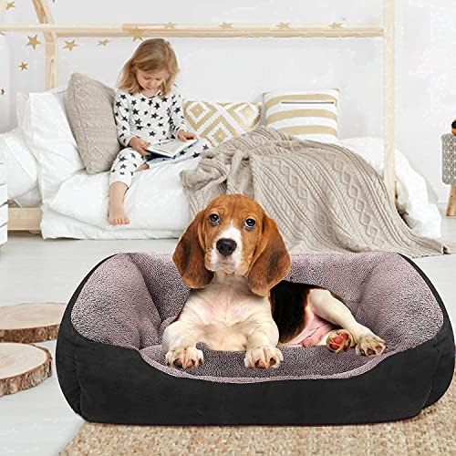 Image of SITSNOOZE Dog Beds Dogs & Cats, Rectangle Washable Pet Bed Comfortable and Breathable Pet Sofa Warming Orthopedic and Non-Skid Bottom (Reversible) (Black, M)
