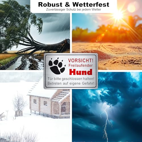GTNCE 2 Stück Vorsicht Hund Schild 30x20cm, Warnung vor dem Schilder, Freilaufender Hund Schild Metall, Achtung Hunde, Witterungsbeständig und Stabil, Hundeschilder für Innen & Außen