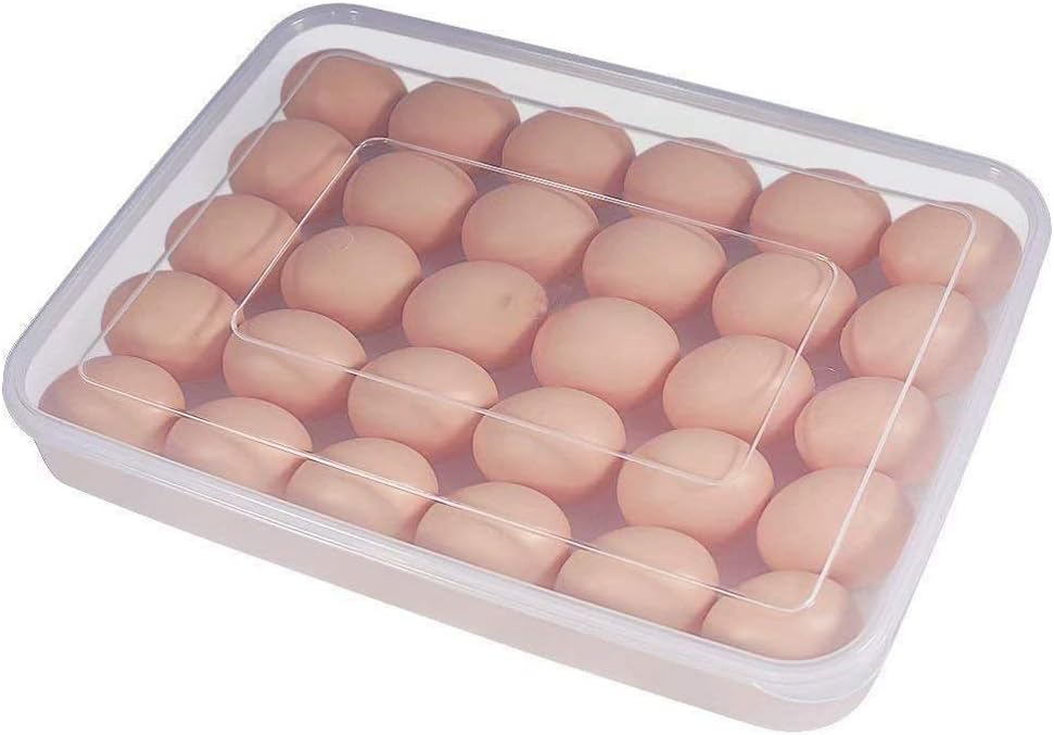 Plastic Egg Tray Holder for 26 Eggs | Durable, Stackable, and Leak-Proof Egg Storage Container | Transparent Egg Holder |