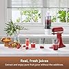 KitchTree Attachment For KitchenAid Stand Mixer,Masticating Juicer Attachment,White+Grey