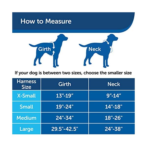 PetSafe-3-in-1-Dog-Harness-No-Pull-Solution-for-Dogs-Reflective-Dog-Harness-Front-D-Ring-Clip-Helps-Stop-Pulling-Comfortable-Padded-Straps-Top-Handle-Enhances-Control-Runs-Walks-Hikes PetSafe 3 in 1 Dog Harness