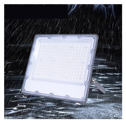 SHEHUALI Illuminazione esterna, Proiettore LED ultra luminoso 10W-300W IP67 Illuminazione da cortile da giardino Faretto da parete for esterni impermeabile(Cold white,20w)