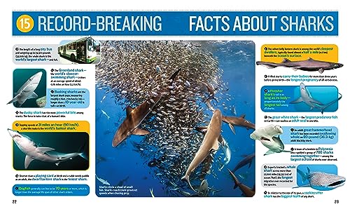 1,000 Facts About Sharks - Image 2