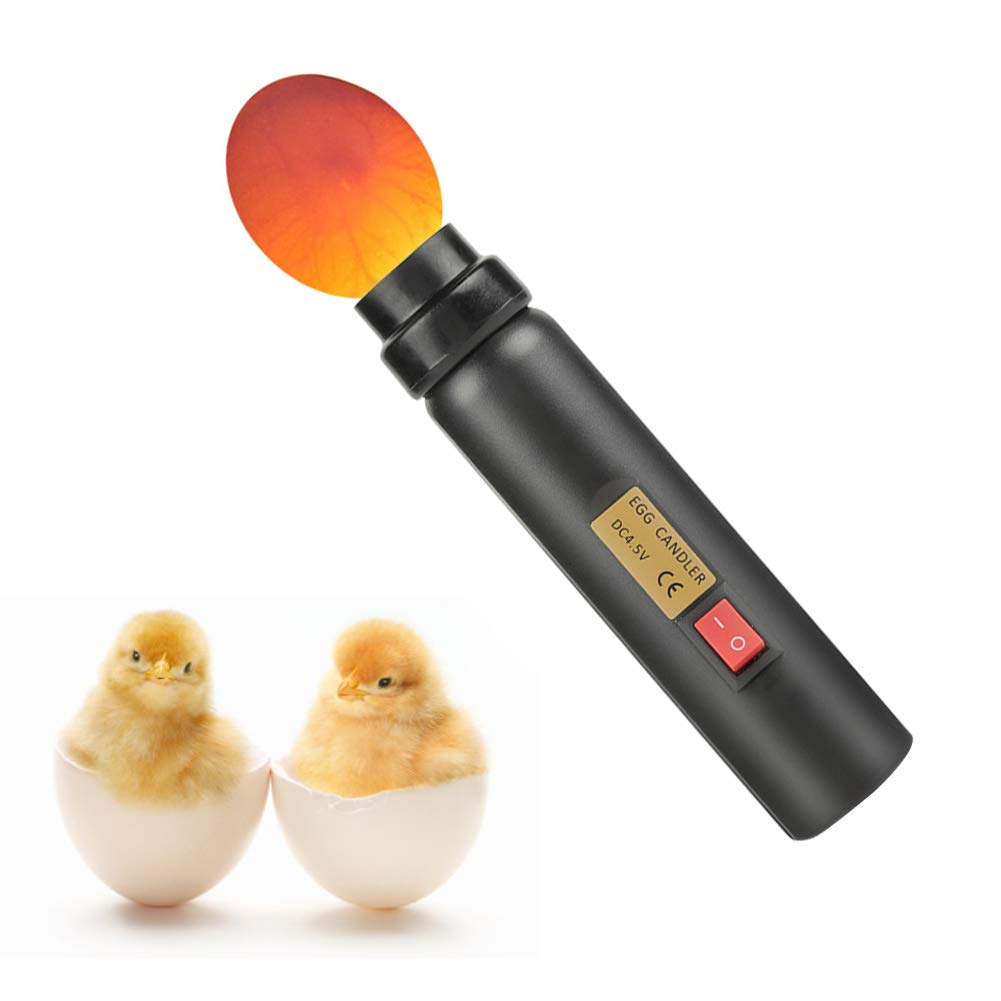Aramox Lampe Pour Mirer Les Oeuf Testeur de D'oeuf, Egg Candler Tester, Lampe de Bougie à LED Froide Haute intensité, Rechargeable pour Tous Types Oeuf Couveuse ou Incubateur Surveiller le Développeme