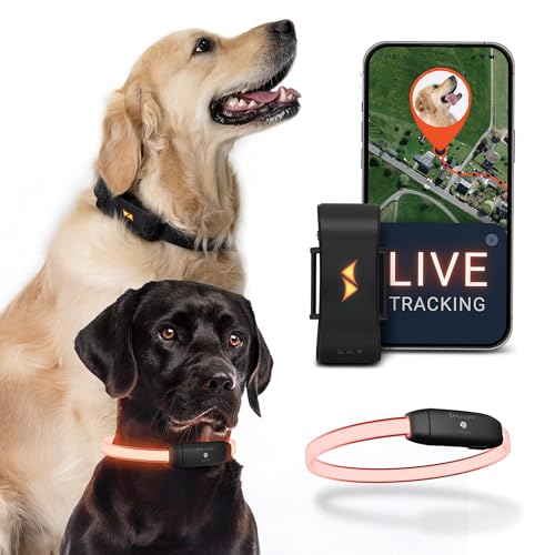 PAJ GPS – Collare LED Luminoso + GPS Tracker per Cani, Doppia Sicurezza, Localizzazione Live Mondiale + Visibilità Notturna, Mini GPS Tracker 4G per Cani, Allarme Anti-Fuga, 100% Impermeabile, Nero