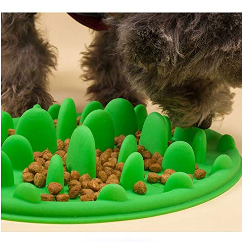 Vofo Slow Pet Feeder Anti-Choke Pet Bowl for Feeding Dogs & Cats