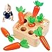 Carote Giocattolo in Legno,Giocattoli Educativi in Legno di Carota,Giochi Montessori Carote,Bambini Classificazione Gioco,Legno Puzzle per Bambini Early Education Regalo