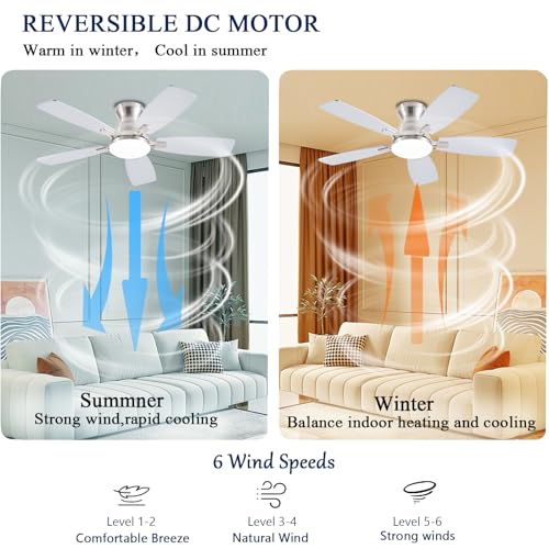 Image of JSAITEE Ceiling Fans with Lights, 42 Inch Low Profile Ceiling Fan with Light, Flush Mount, DC Reversible Motor, Noiseless, Nickel 6 Speeds Ceiling Fan for Bedroom