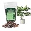 Monstera Potting Soil Mix