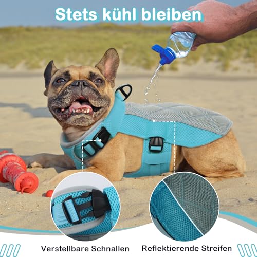 Hjumarayan Kühlweste für Hunde, Kühlweste Hund mit D-Ringe Sommer Kühlmantel für Hunde Kühlgeschirr Atmungsaktiv Kühlende Hundeweste, Hundekühlweste für Heißen Sommertagen, Blau XS