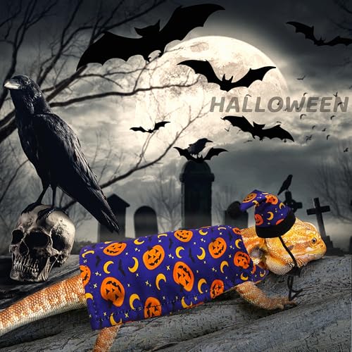 Disfraz Halloween para dragón barbudo con gorro azul miniatura 4
