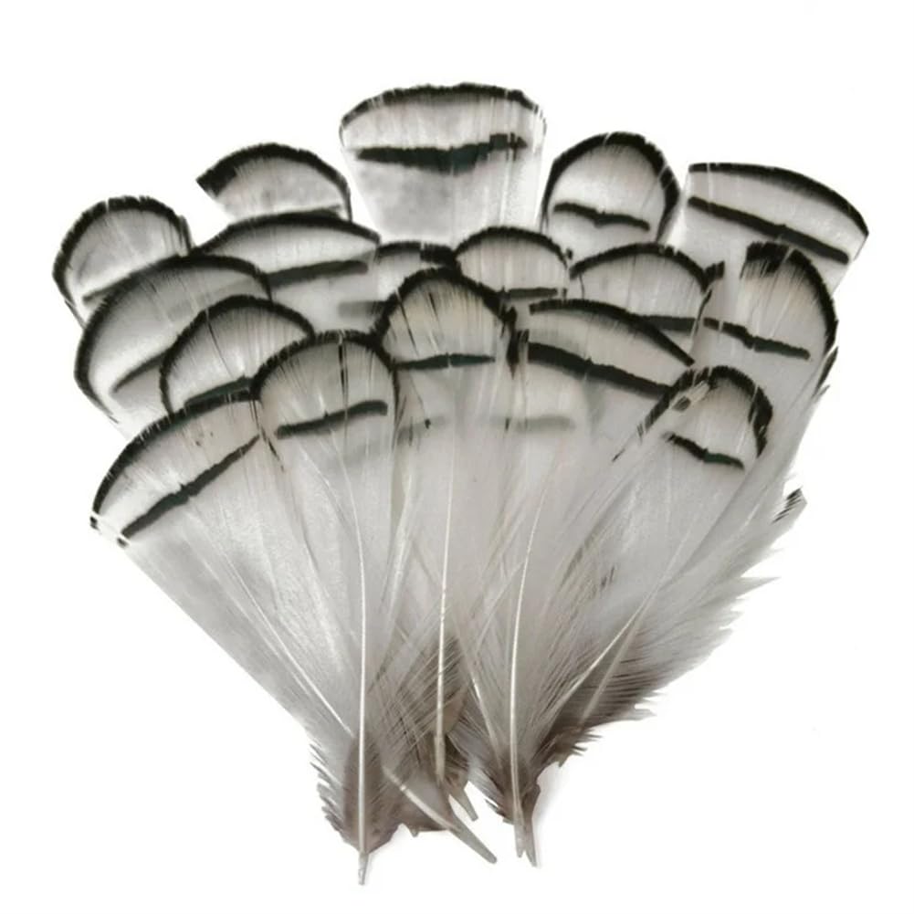Piume naturali di fagiano, Piume di fagiano naturali realizzate a mano 4-8 cm Confezione multipla artigianale fai-da-te(200 Piece)
