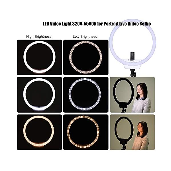 LXDDP 37W Selfie-Ringlicht, 3200K ~ 5500K Zweifarbige kabellose LED-Fernvideolampe mit Griff, für Griffaufnahmen für… – Bild 5