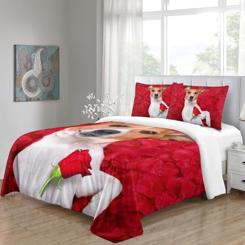 Housses de couettes microfibre 3 pièces lit double avec fermeture éclair King