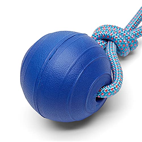 Amazon Basics Eva Floating Dog Balls, 3-Pack #TOP4