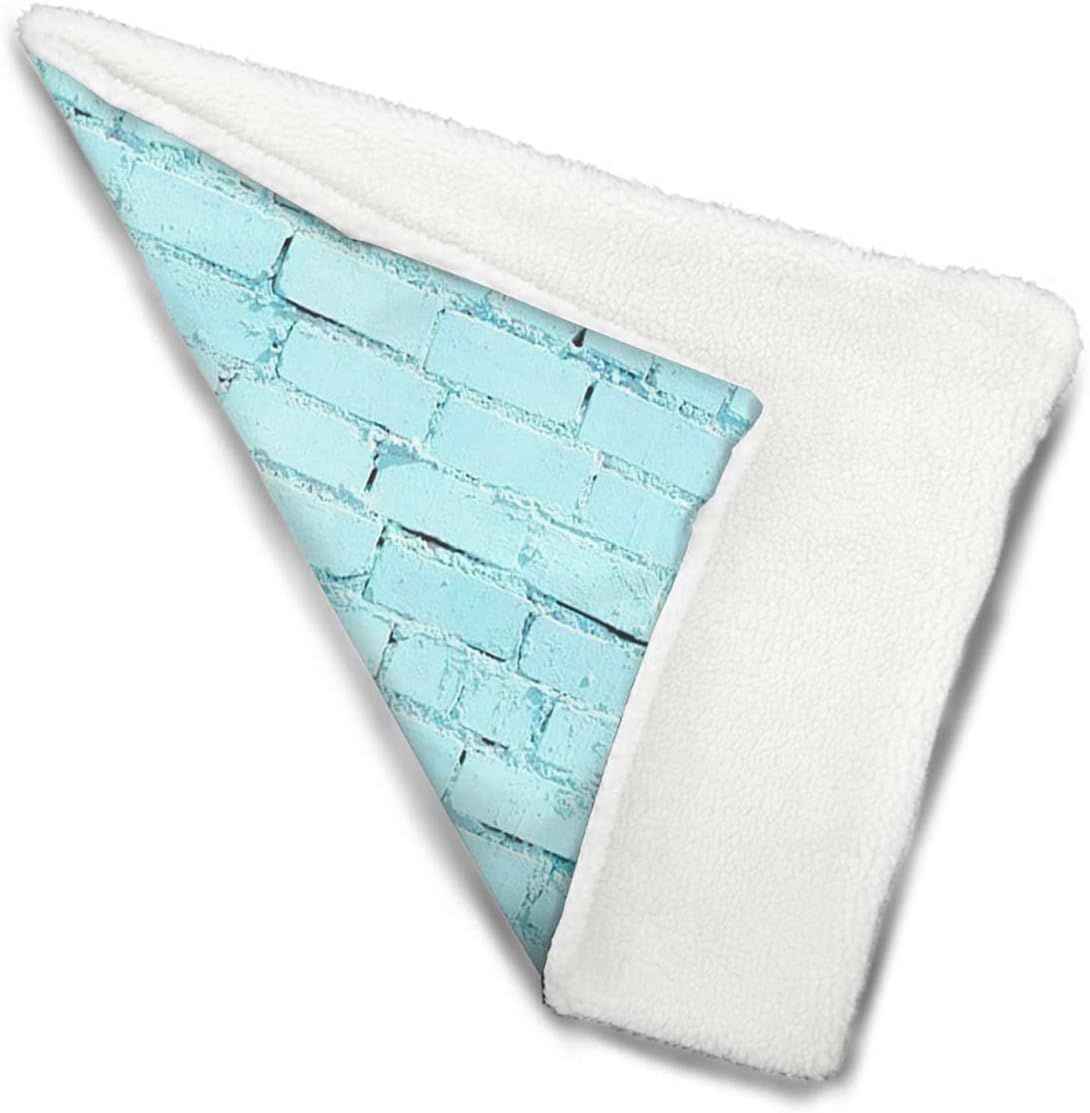 review Turquoise Thermal Pet Mat Bed Liner Mint Brick Old Wall Dog Warming Bed Mat for Pets Cats Dogs and Kittens for Outdoor Indoor Vintage Style 14