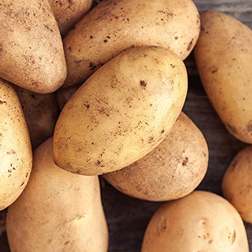 Potato UAE 2.5kg