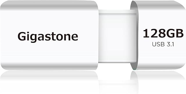 Gigastone Z60 128GB USB 3.1 Flash Drive, R/W 120/60 MB/s Ultra High Speed Pen Drive, Capless Retractable Design Thumb Drive, USB 2.0 / USB 3.0 Interface Compatible