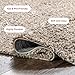 nuLOOM Neva Modern Tasseled Shag Area Rug, 4x6, Beige