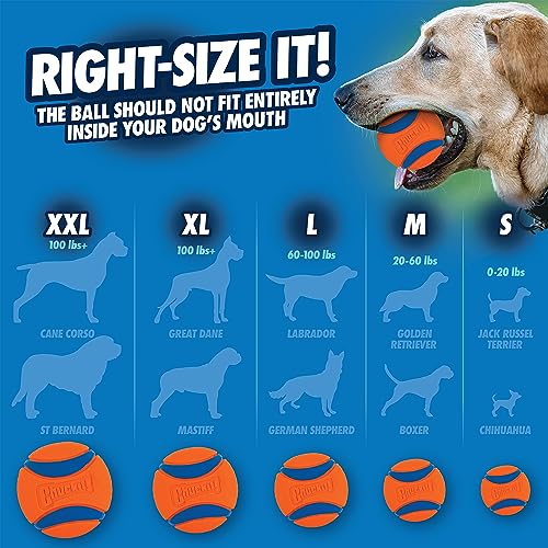 ChuckIt! Ultra Ball Dog Toy, Durable High Bounce Floating Rubber Dog Ball, Launcher Compatible Toy For Dogs, Medium (Pack of 2)