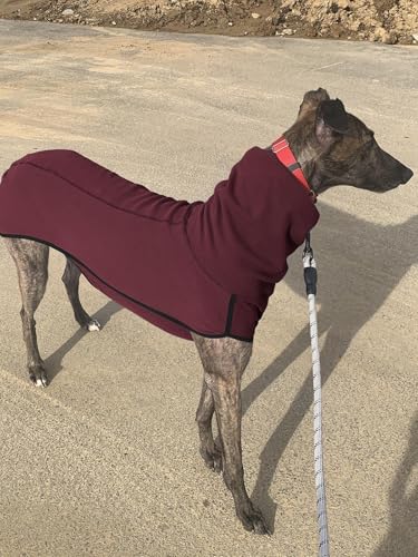 Imily Bela Hundepullover Fleece Rollkragen Hundemantel Warmer Weste Pullover Outdoor Hundejacke Winterkleidung für Kleine Mittel Große Hunde,Weinrot,M