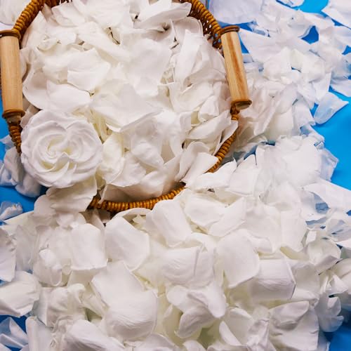 300 PCS Dried White Rose Flower Petals, Real Freeze Ivory Rose Petals for Decor, Wedding, Romantic Night, Proposal Venue, Party Confetti Bridal Shower (2.8oz) image 5