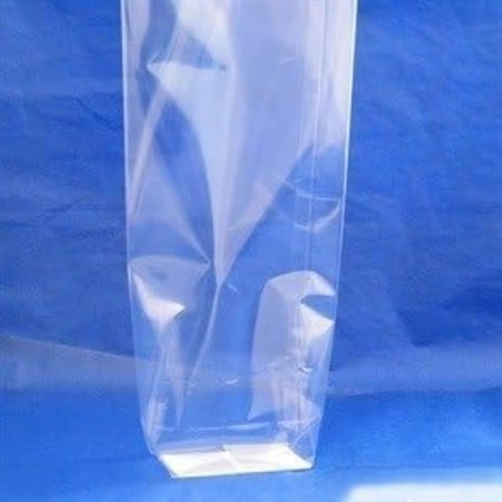 Clear Cellophane Block Bottom Clear Cellophane Gift / Food Bags - 95mm x 165mm - WECANSOURCEIT Brand (50)