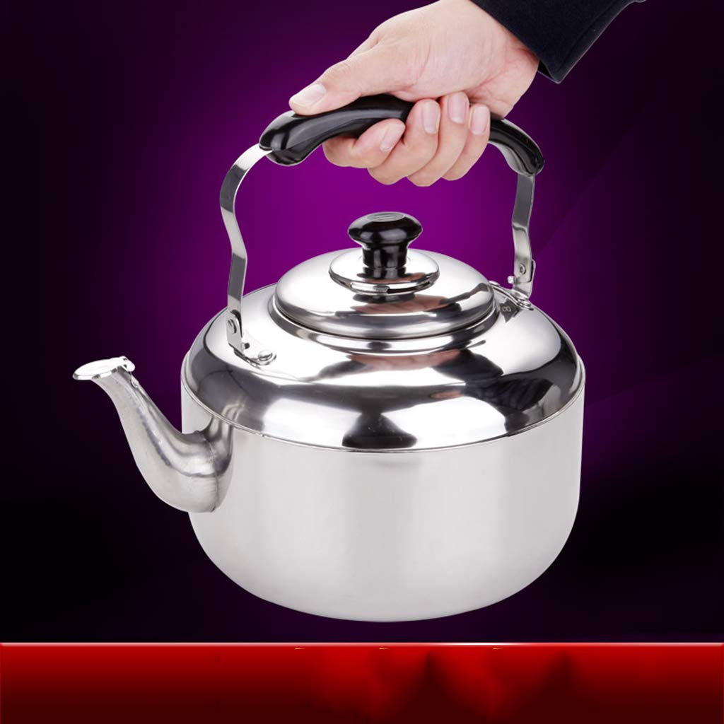Sharplace 1 Pièce Bouilloire en Acier Inoxydable avec Poignée, Bouilloire pour l'eau, Thé, Expresso, Lait, 6L