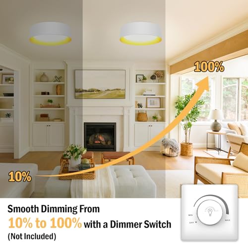 Image of Flush Mount Ceiling Light, 13in Modern Ceiling Light 5 Color Temperature