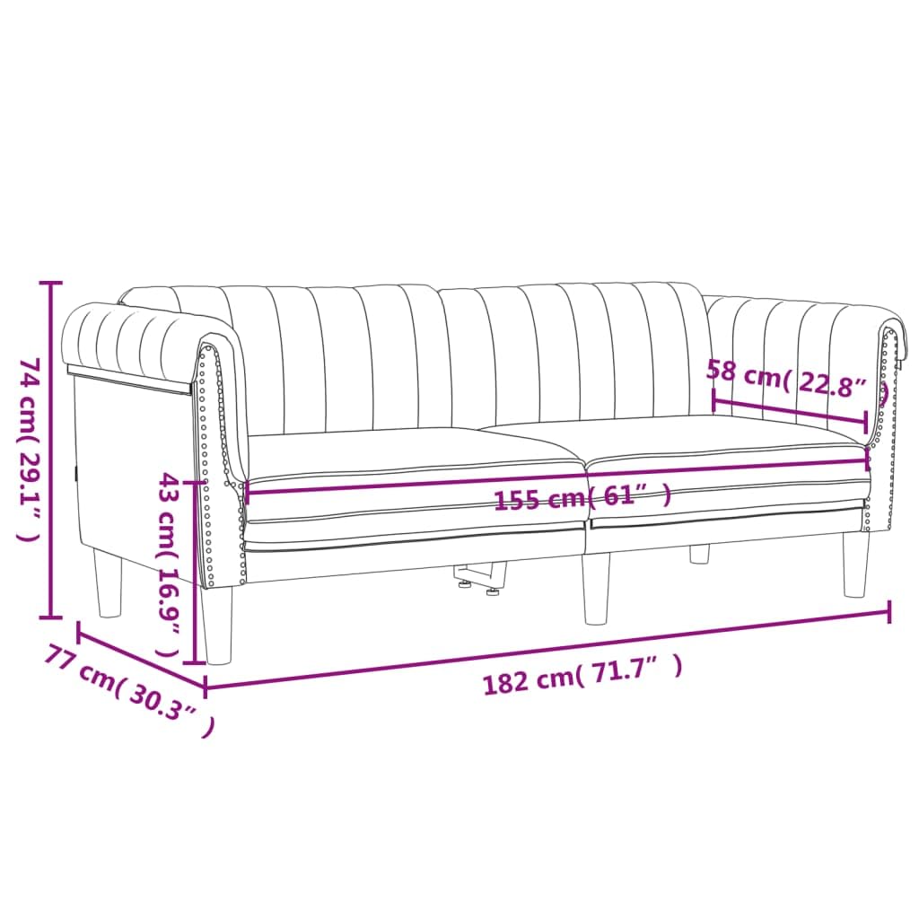 vidaXL Ensemble de Canapés 2 pcs, Chaise de canapé avec Accoudoirs et Dossier, Meuble de Salon Salle de Séjour, Moderne, Gris Foncé Velours
