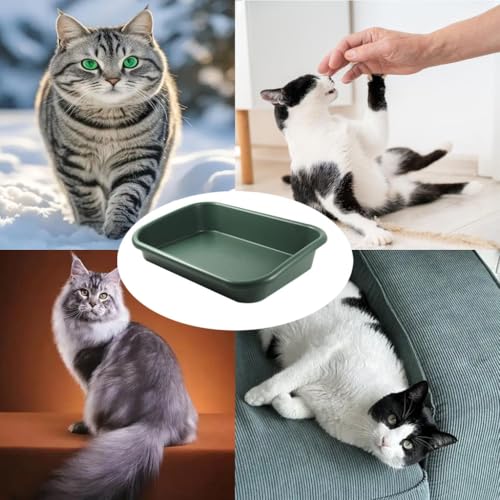 Arenero para gatos Extra Grande con lados altos y entrada baja miniatura 4
