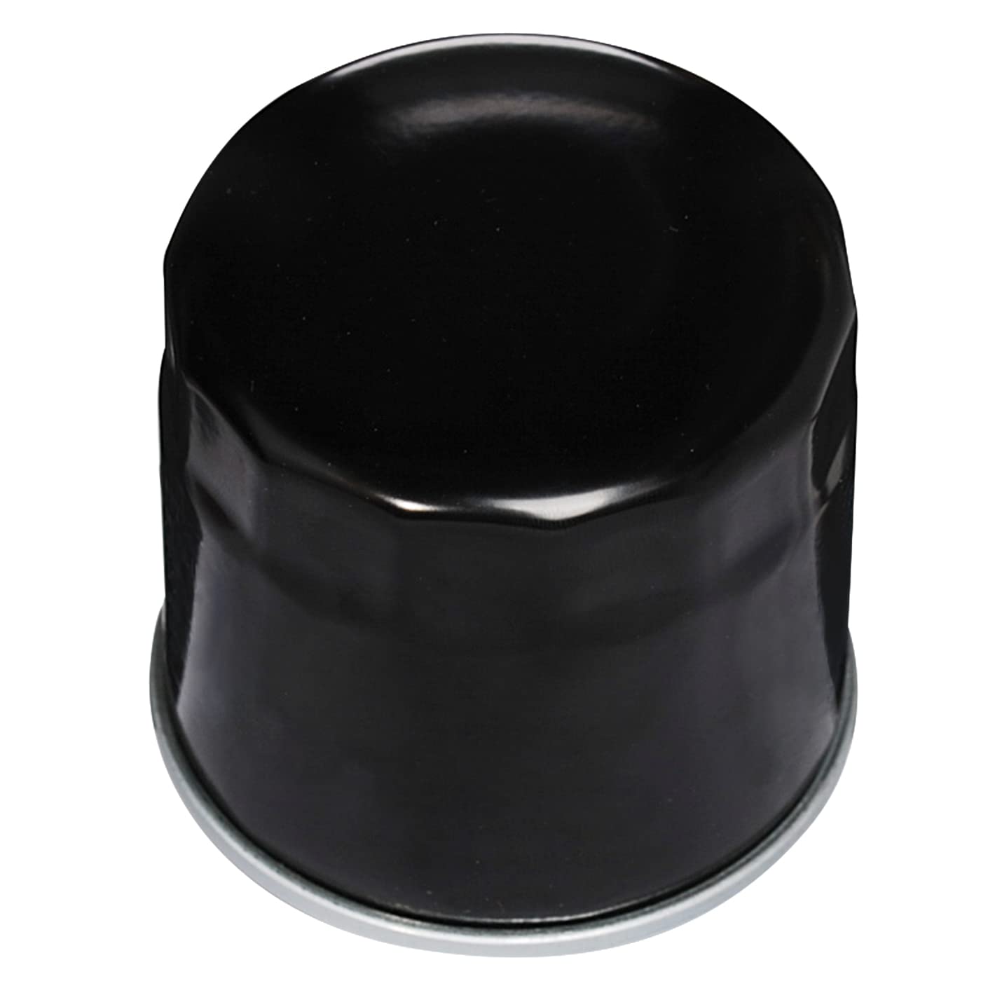 Briggs & Stratton 2 Pack 5065K Fuel Filter 60 Micron Replaces 691035